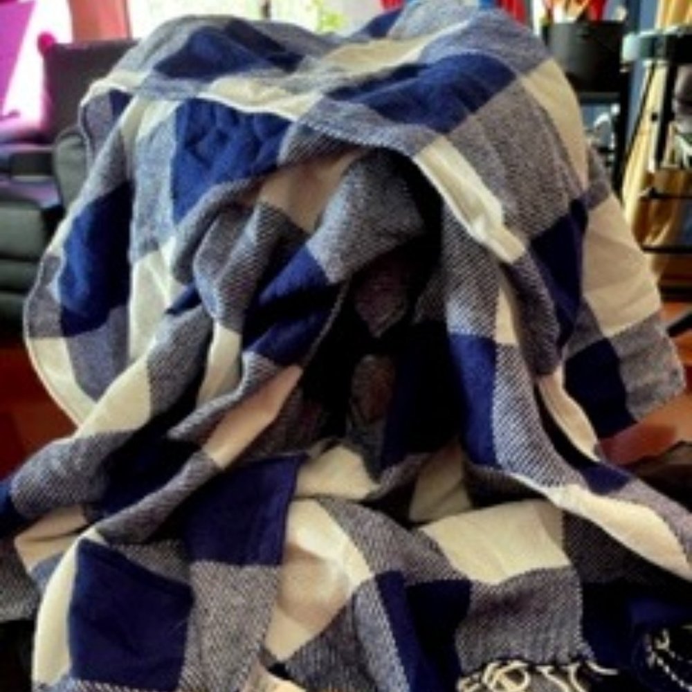 NWT, NEW DIRECTION CHECKERED SCARF